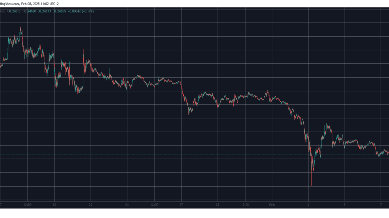 Dogecoin Whales Keep Buying but DOGE Price Keeps Dropping
