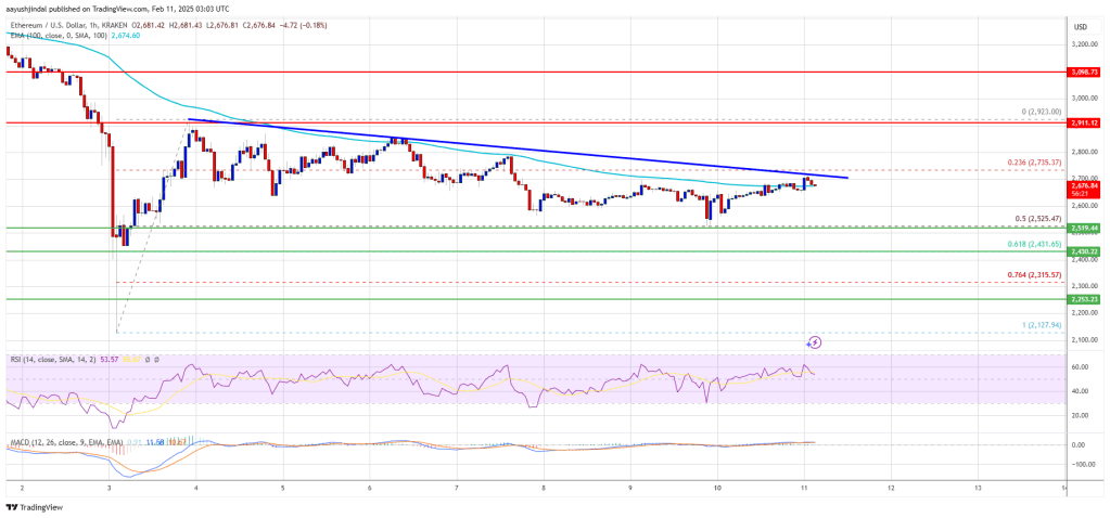 Ethereum Price Faces Headwinds: Can Bulls Regain Control?