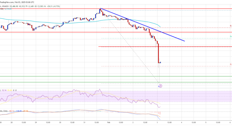 Ethereum Price Tanks 25%: What’s Next After the Major Decline?