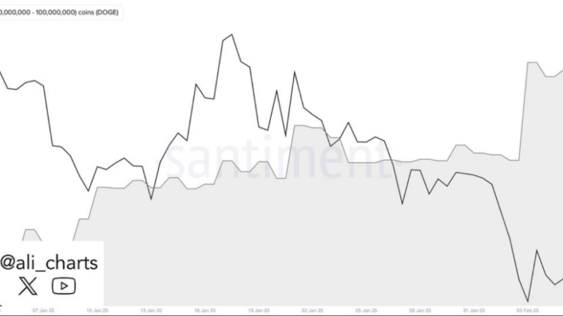 Final Dip? Dogecoin Correction Could Precede A Record Surge—Analyst