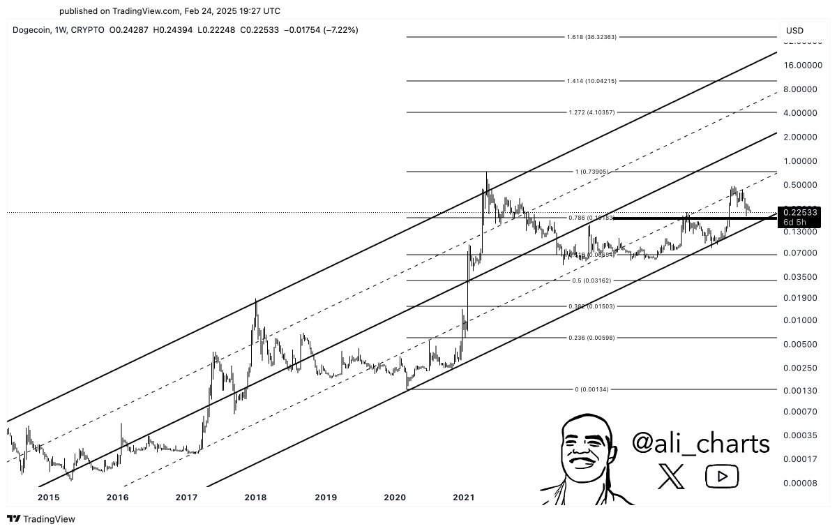 If Dogecoin Falls Below This Level, A Freefall To $0.06 Is Possible: Analyst