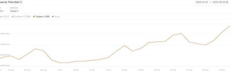 Litecoin Trading Activity Increases Over The Past Month – Potential LTC ETF Draws Speculation