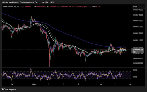 PEPE Flashes Reversal Signal To Recoup The 800 EMA, What This Means For Price