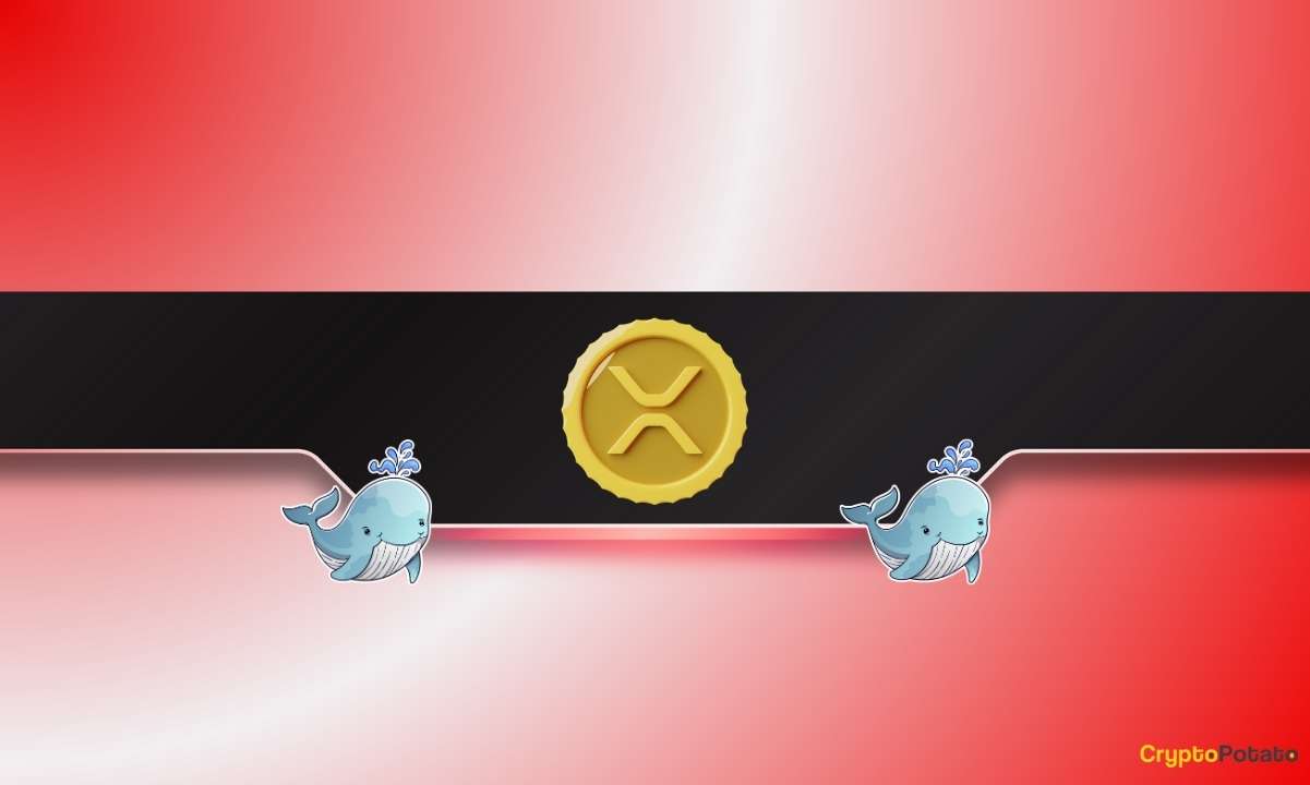 Ripple Whales Go on a Selling Spree: Is XRP Headed for a Further Correction?