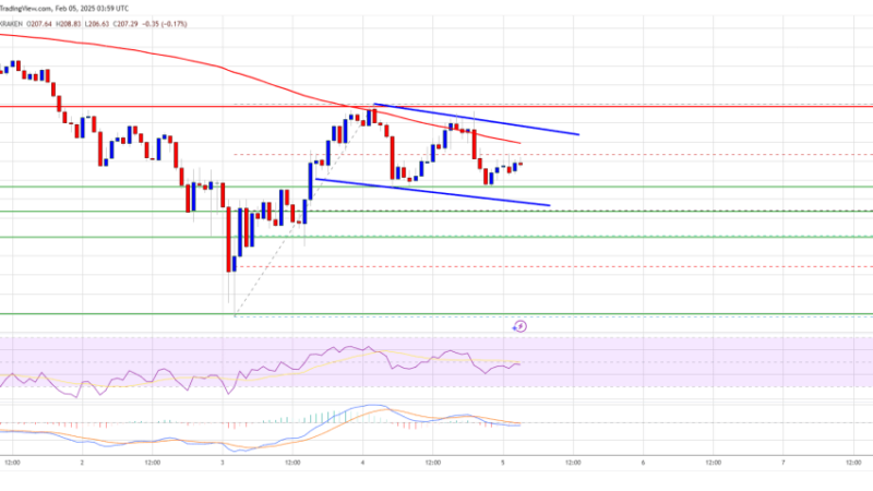 Solana (SOL) at a Crossroads: Can It Break Through and Turn Bullish?