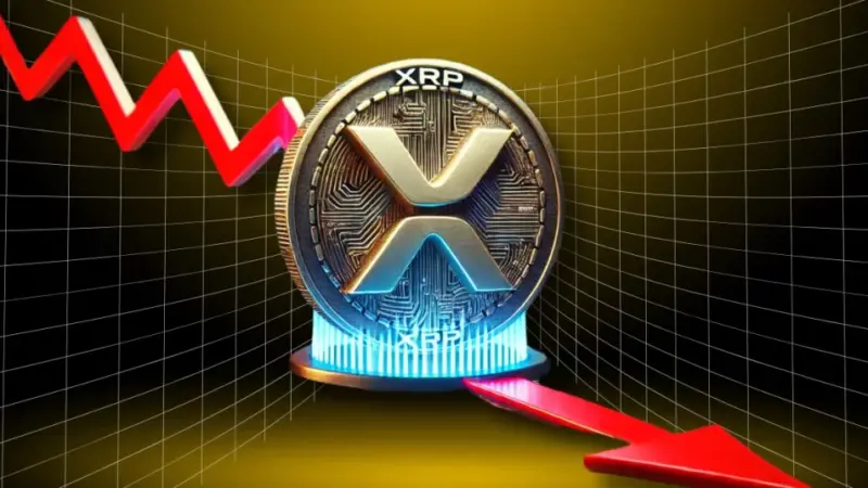 Time to Sell XRP? Whales Transfer 70 Million Tokens to Exchanges