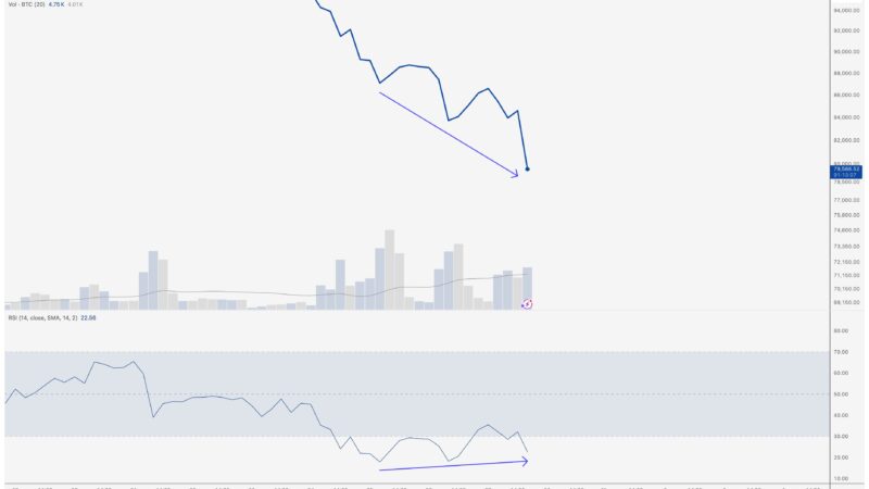 Will Bitcoin Drop Even Lower? Here’s What Experts Predict