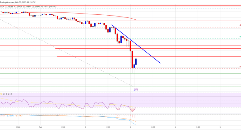 XRP Price Crashes Hard: Is There a Recovery in Sight?