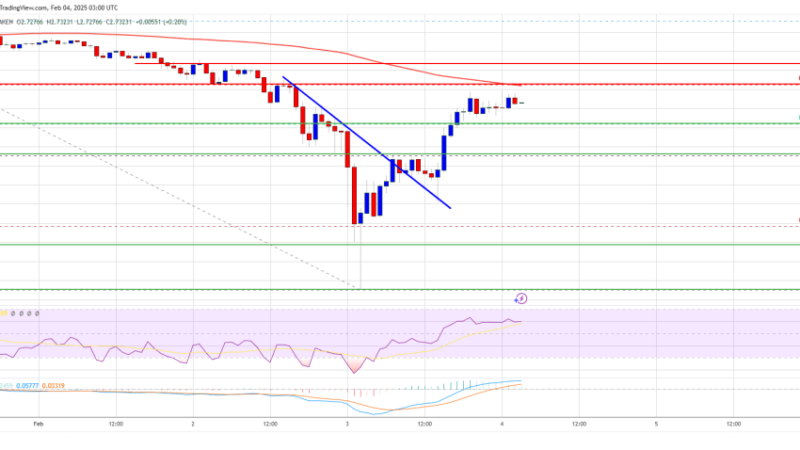 XRP Price Explodes 25%: Will The Recovery Sustain or Fizzle Out?