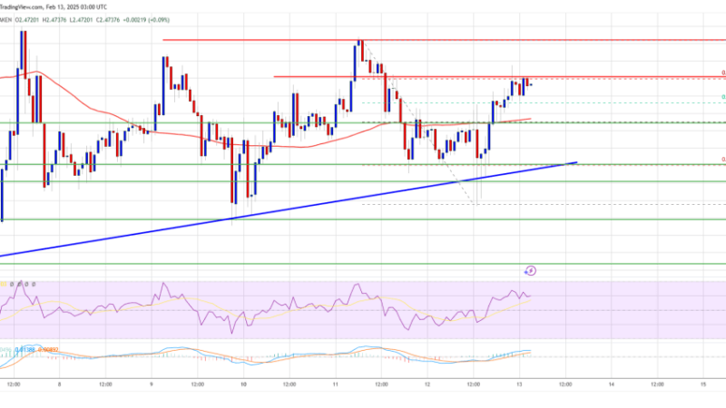 XRP Price Finds Stability—Can It Turn Higher from Here?