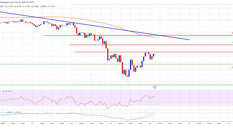 XRP Price Moves Higher—But Is This Just a Temporary Bounce?