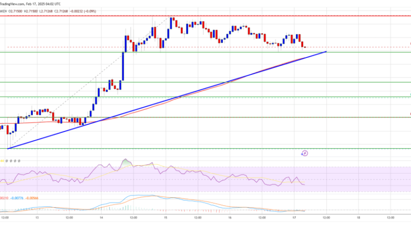 XRP Price Settles After Gains—Is a Fresh Upside Move Coming?