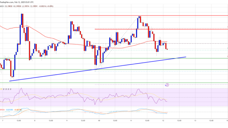 XRP Price Struggles to Hold Gains—Could Bears Take Over?