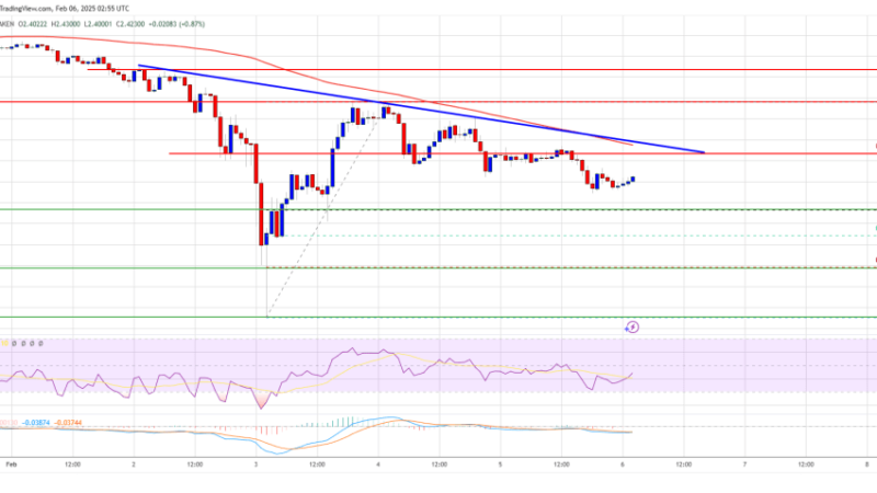 XRP Price Struggles to Keep Pace: What’s Holding It Back?