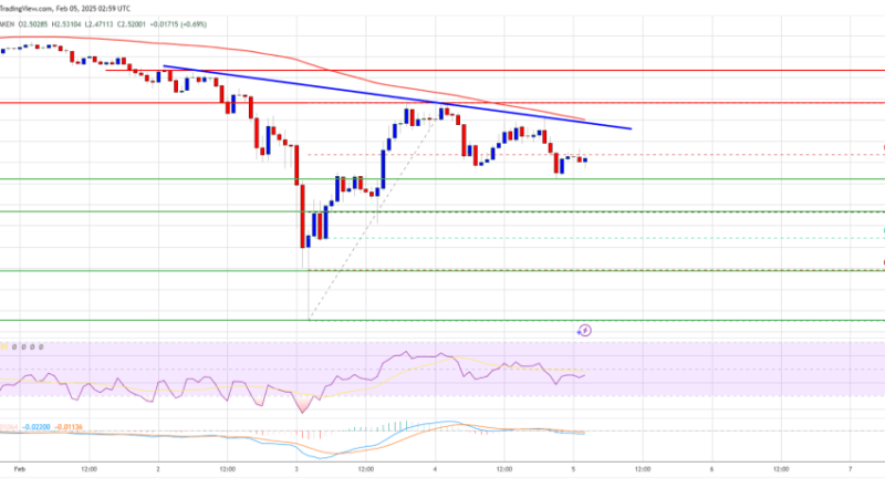 XRP Price Tests Critical Barrier: Will Bulls Lose Steam?