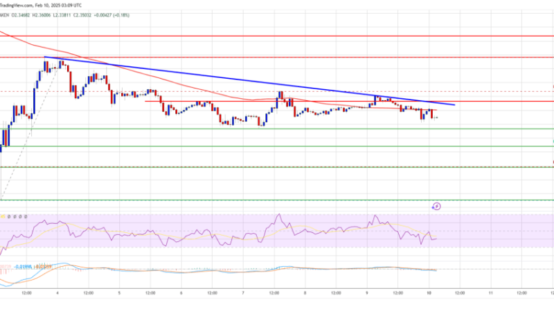 XRP Price Uptrend Hits a Snag—Is a Fresh Increase Still Possible?