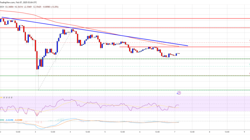 XRP Price Weakens Gradually: Can It Find Support?