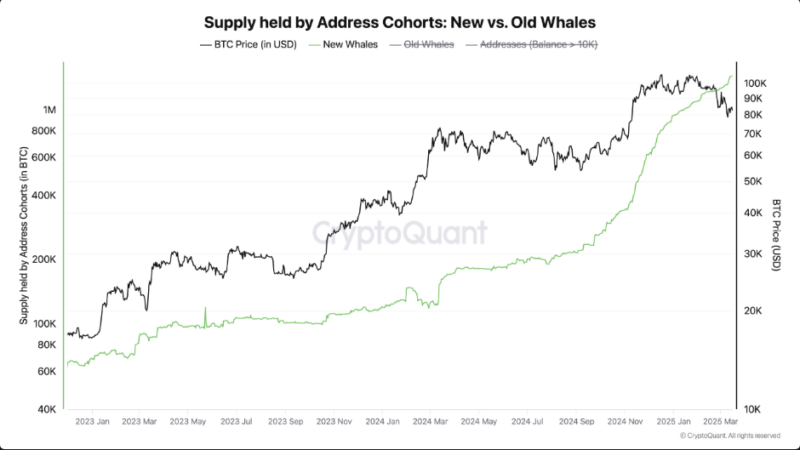 1 Million Bitcoin In New Whale Hands—A Mega BTC Rally On The Horizon?