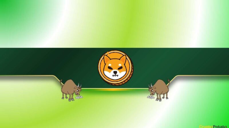 3 Reasons Why the Shiba Inu (SHIB) Price Might Rally Soon