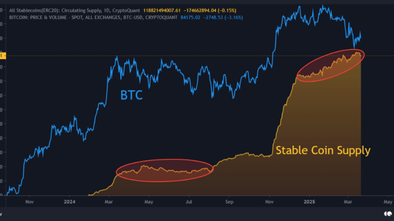 Analyst Compares Current Bitcoin Pullback to 2024 Market—Here’s What They Found