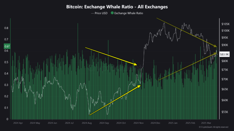 Bitcoin Exchange Whale Ratio Hits New 2025 High — BTC Price At Risk?