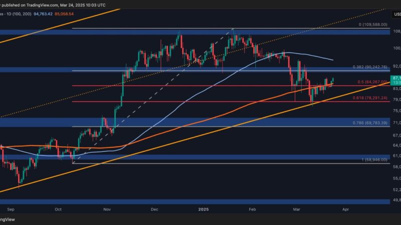 Bitcoin Price Analysis: BTC Eyes $90K, but Momentum Shows Signs of Weakness