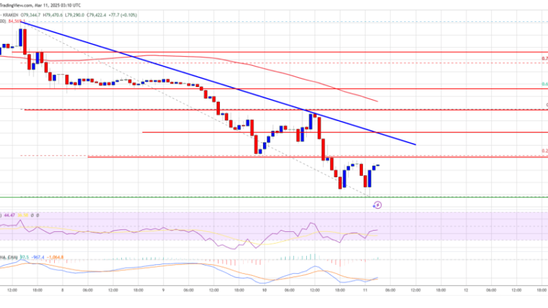 Bitcoin Price Cracks $80K Support—Is a Deeper Correction Coming?
