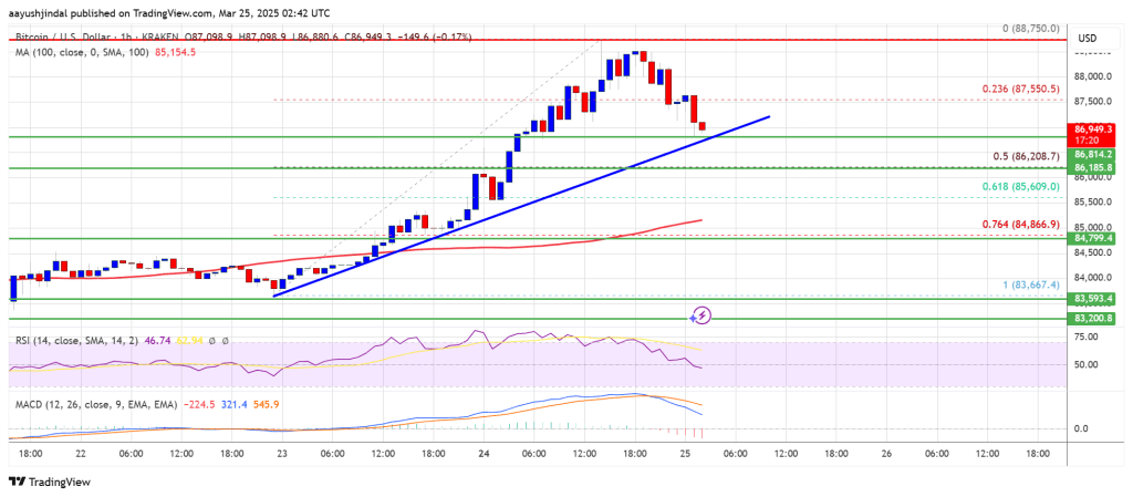 Bitcoin Price Dips After Rally—Is This the Perfect Entry Point?