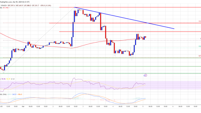 Bitcoin Price Holds Steady After Drop—Is a Rebound Coming?