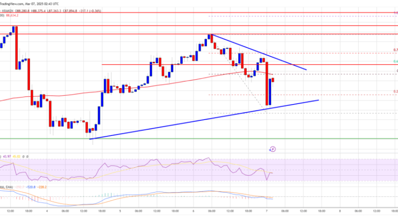 Bitcoin Price In Limbo—Consolidating Below $92K Ahead of Next Move