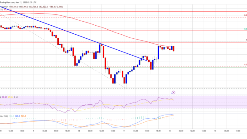 Bitcoin Price Recovers Some Losses—Is a Full Rebound in Sight?