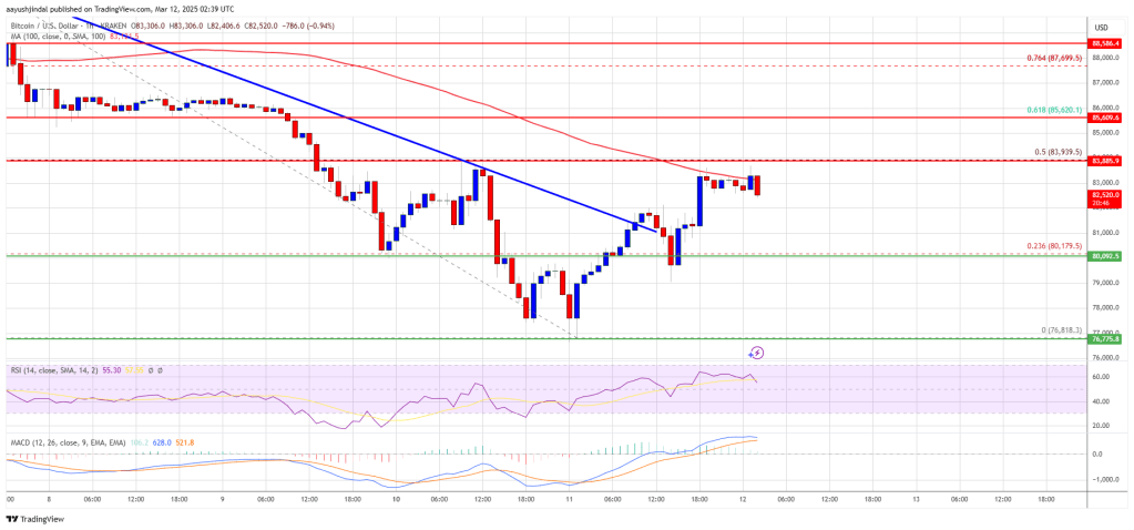 Bitcoin Price Recovers Some Losses—Is a Full Rebound in Sight?