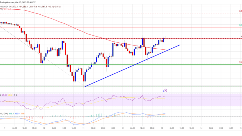 Bitcoin Price Recovery Possible Above $85K—Will Bulls Step In?