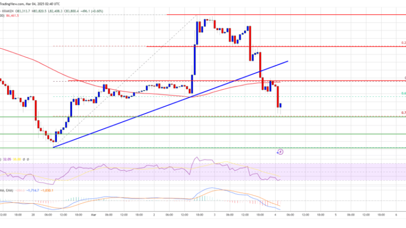 Bitcoin Price Retreats—Key Support Levels in Focus After Reversal