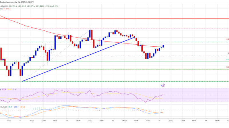 Bitcoin Price Steadies—Is a Meaningful Bounce on the Horizon?