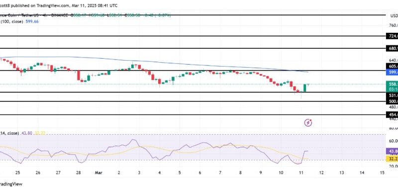 BNB Bulls Take Charge: Price Rebounds Strongly After Recent Dip