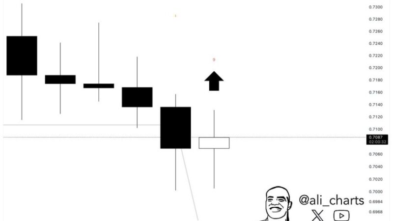 Cardano Indicator Flashes Buy Signal On 4-Hour Chart – Rebound Ahead?