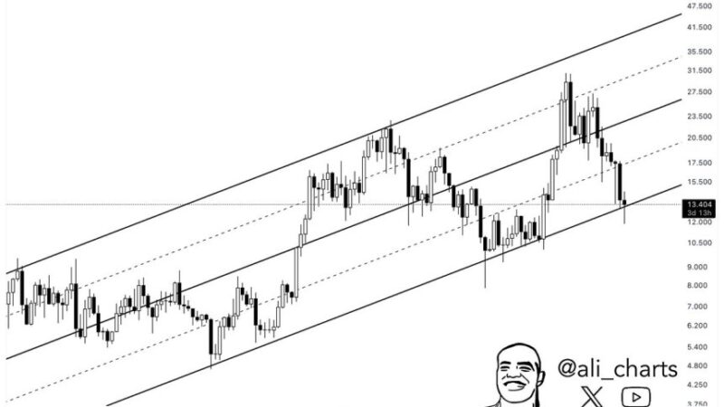 Chainlink (LINK) Among Top Gainers With 11% Daily Surge, Is A Rebound To $24 Coming?