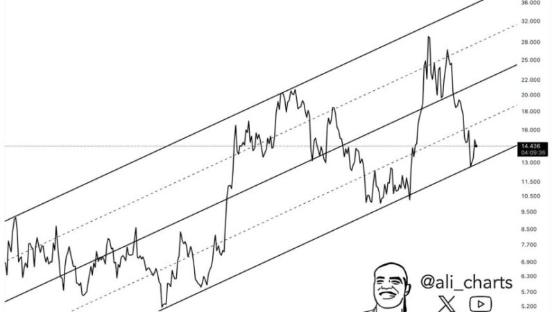 Chainlink Poised For Recovery If $13 Support Holds – Expert Sets Optimistic Targets