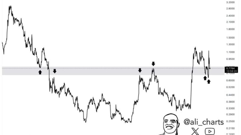 Charts Reveal Cardano Holds Key Support Zone – Staying Above Could ‘Set The Next Move’