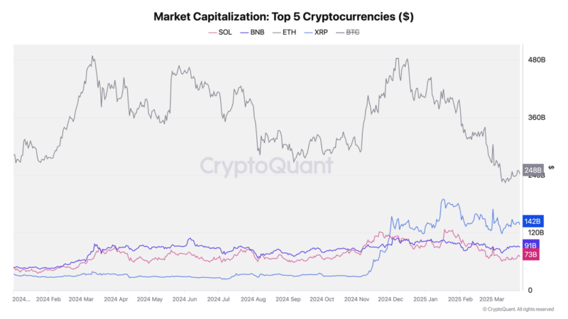 Crypto Market Cap Evolution Shows Diverging Trends Among Top Digital Asset