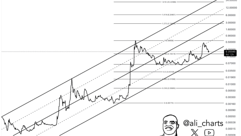 Dogecoin Analyst Predicts Massive Price Explosion—Is $6.24 Far-Fetched?