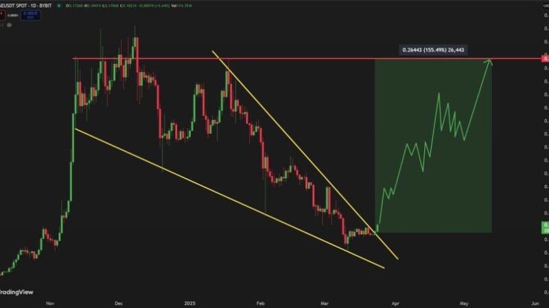 Dogecoin Breaks Above Bullish Daily Pattern – Analyst Sees A Surge To $0.43