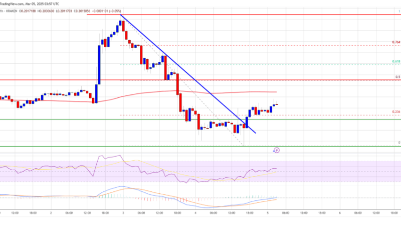 Dogecoin (DOGE) Attempts Rebound—Will Recovery Gain Momentum?