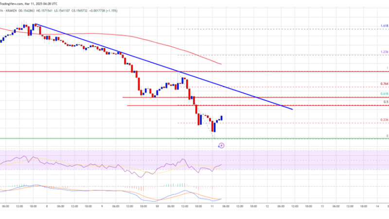 Dogecoin (DOGE) Under Pressure—Continues Sliding Into Bear Territory