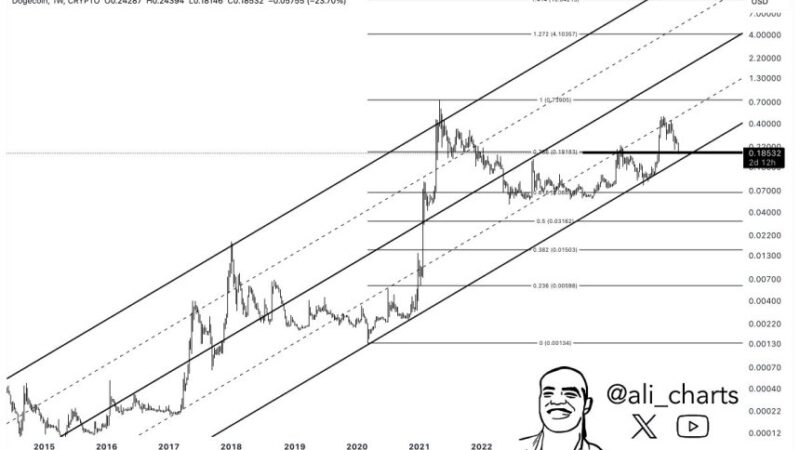 Dogecoin Holds Critical Support Level – Can Bulls Reclaim $0.25?