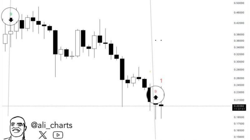 Dogecoin Indicator Flashes A Buy Signal On The 4-Day Chart – Is DOGE Gearing Up For A Rebound?