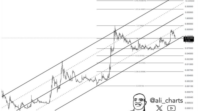 Dogecoin Will Start A Move To $4 If Current Demand Holds – Can Bulls Step In?