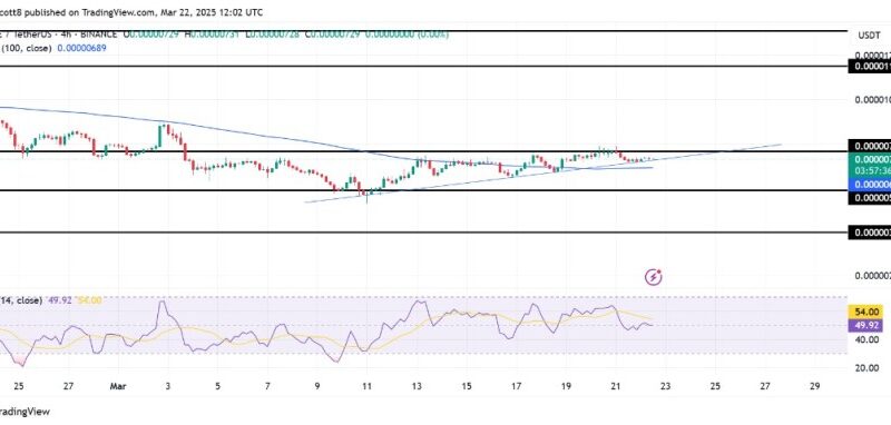 PEPE Bulls Regain Control As Price Stays Above Moving Average