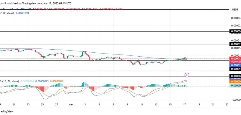 Shiba Inu Gains Momentum: SHIB Price Breaks Above 100-Day Moving Average, What’s Next?